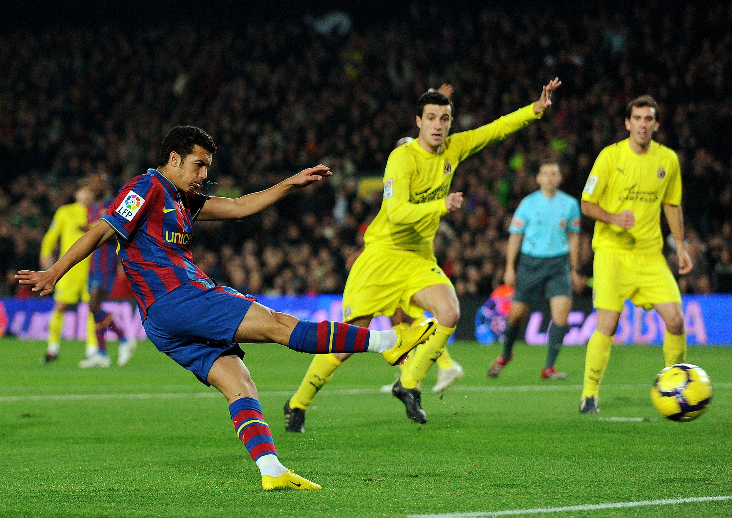 文化的重要 文化的重要