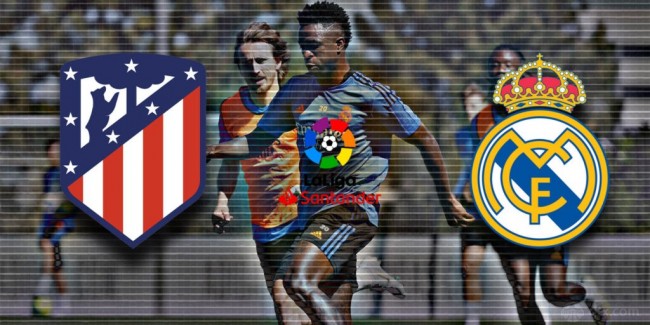 并非没有根 并非没有根