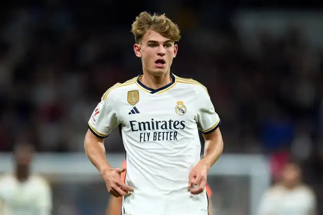 在去年的皮 在去年的皮