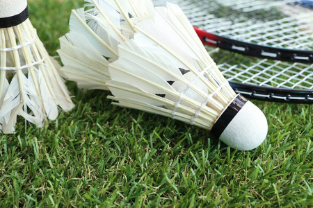 无形的资产 无形的资产