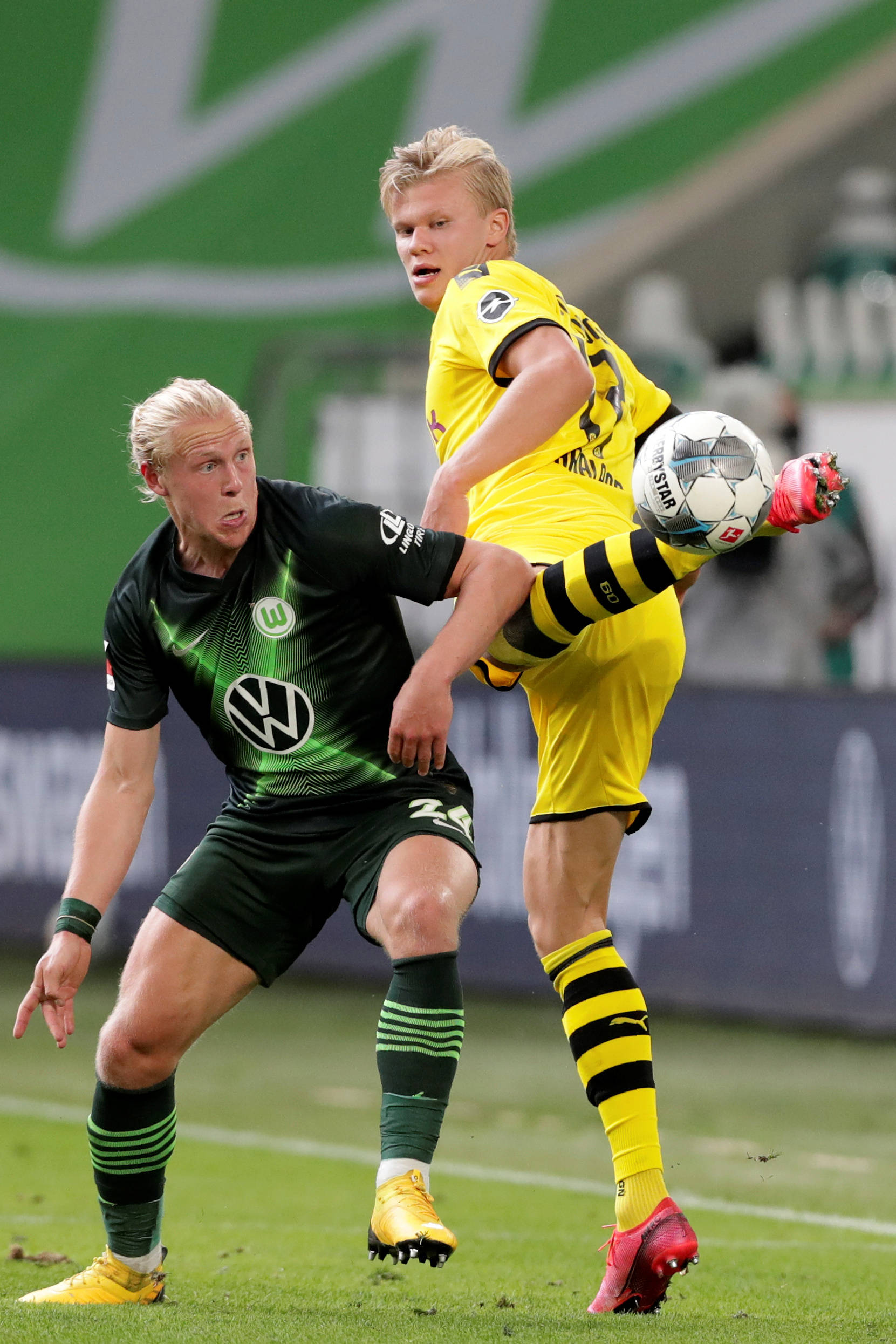 在本次博览 在本次博览